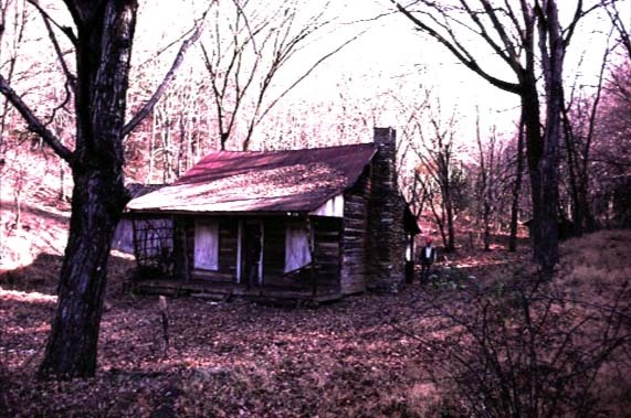 the-evil-dead-cabin12