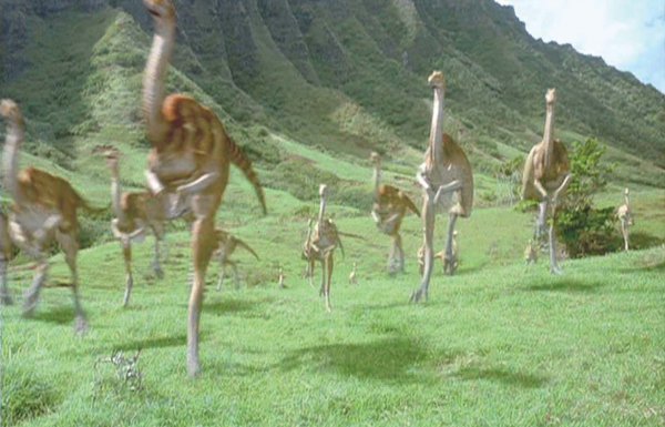 Gallimimus herd