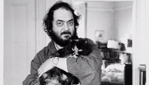 kubrick cat