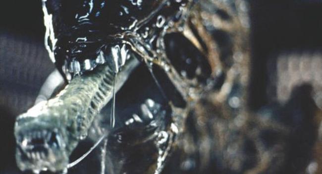 alien-1979-1