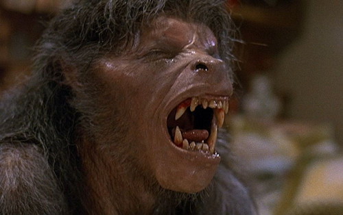 158920-werewolves-an-american-werewolf-in-london